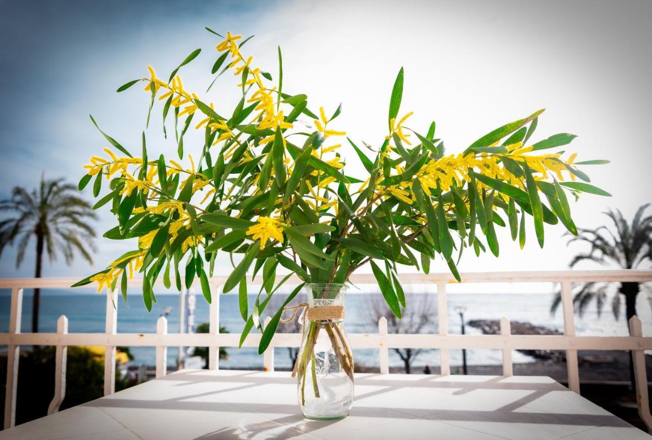 Hotel Et Appartements Reine D'Azur โรกบรูน-กัป-มาร์แต็ง ภายนอก รูปภาพ